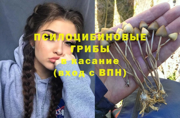 герыч Бугульма