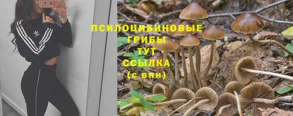 герыч Бугульма